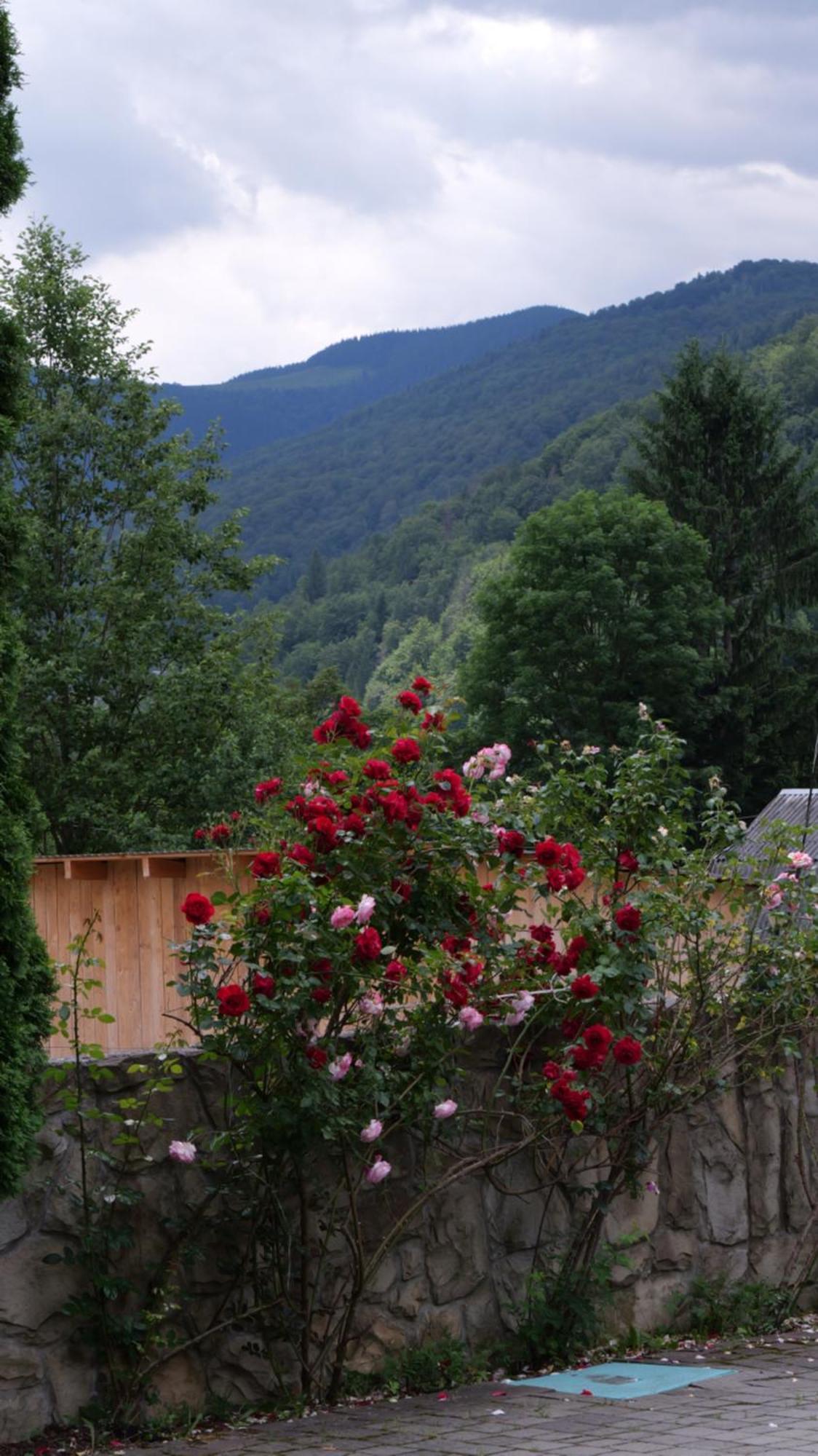 Olko House *